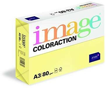 Druckerpapiere Medimax Antalis Coloraction A3 80g/qm Florida 500 Blatt